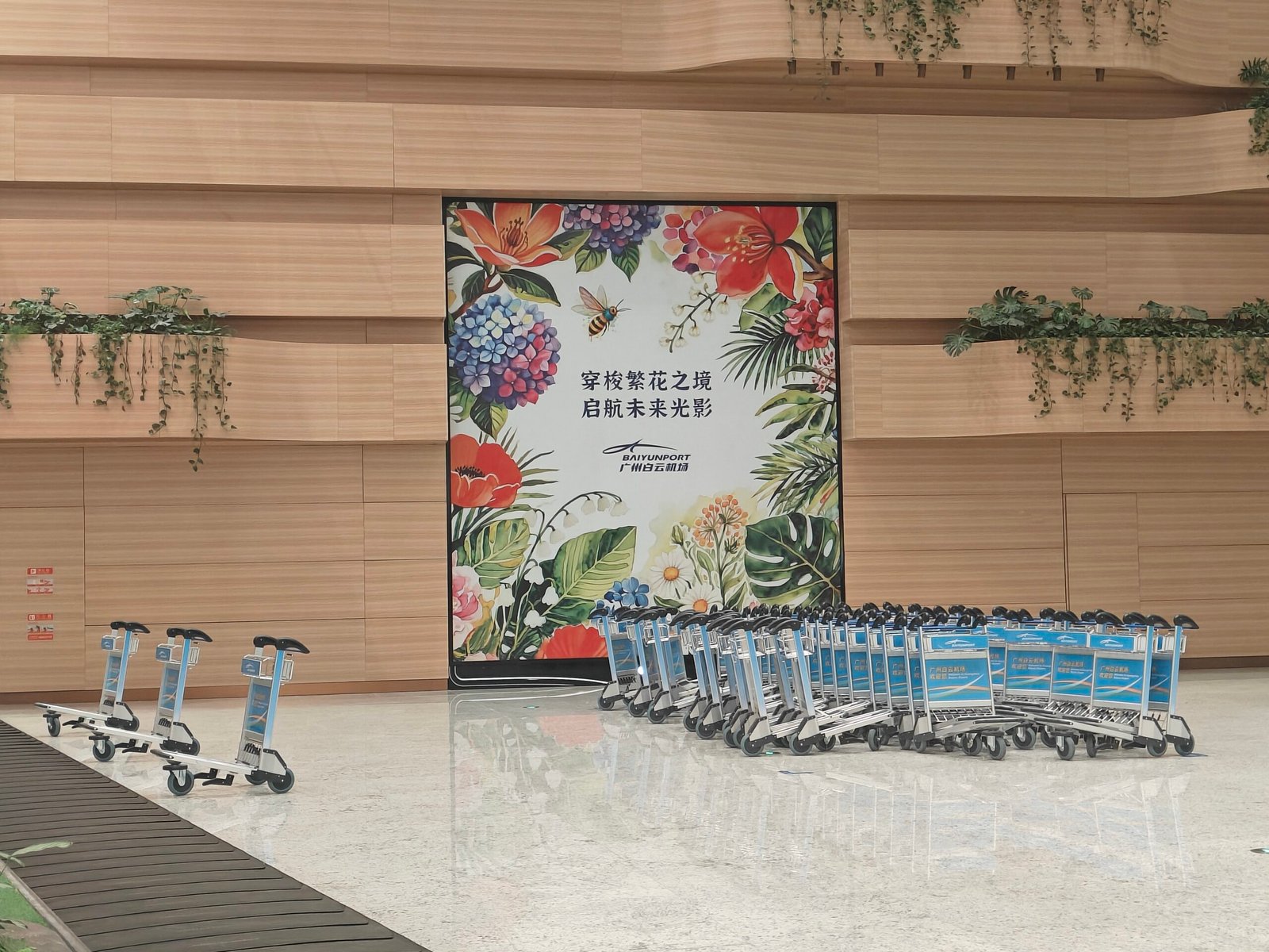 Airport Luggage Trolleys Project——BAIYUN Airport, GuangZhou,CHINA
